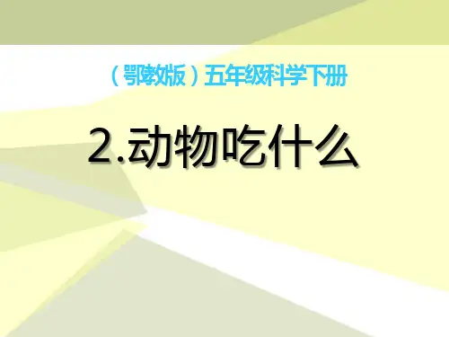 鄂教版五年级科学下册《动物吃什么》PPT课件(2篇)