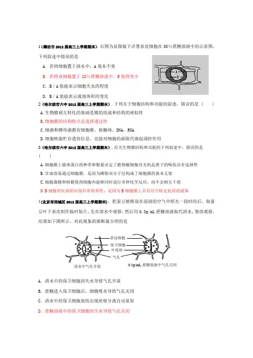 第四章细胞的物质输入和输出单元练习题