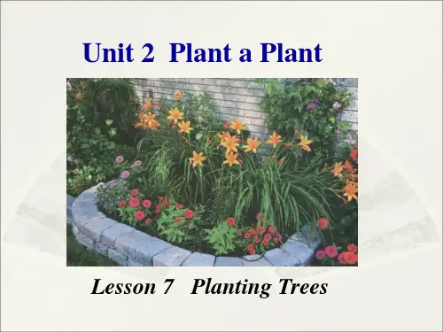 冀教版初中英语八年级下册 精品课件 Unit 2 Lesson 7Planting Trees (共32张PPT)