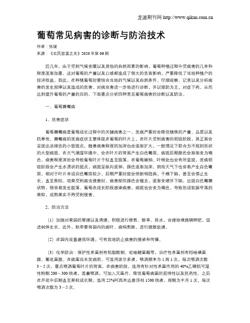 葡萄常见病害的诊断与防治技术