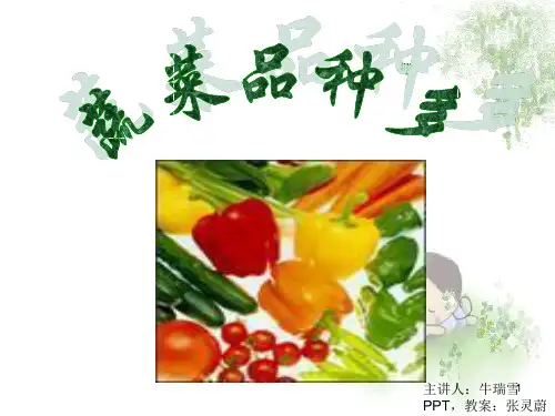幼儿园-认识蔬菜(课堂PPT)