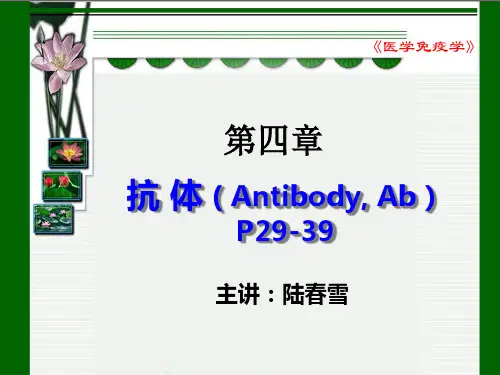 医学免疫学-抗体