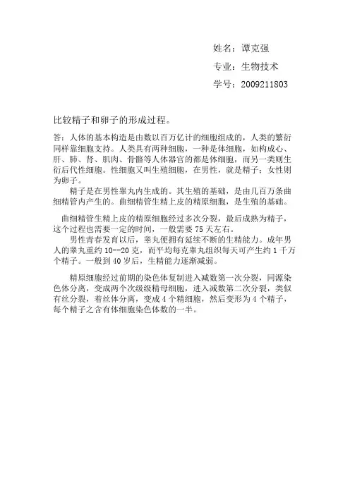 精子和卵子的形成过程