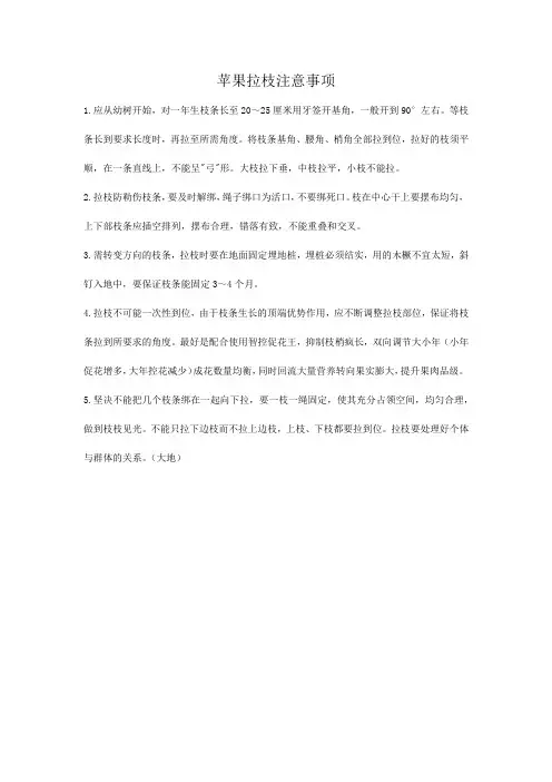 苹果拉枝注意事项