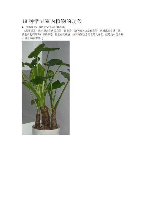 18种常见室内植物的功效 2