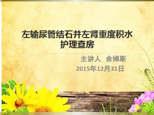 左输尿管结石护理查房