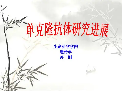 单克隆抗体研究进展