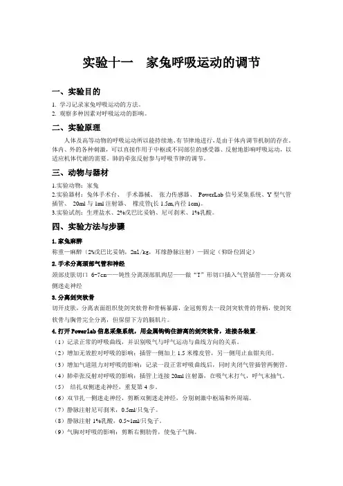 家兔的呼吸调节
