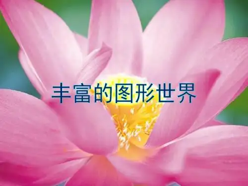 第一章《丰富的图形世界》复习