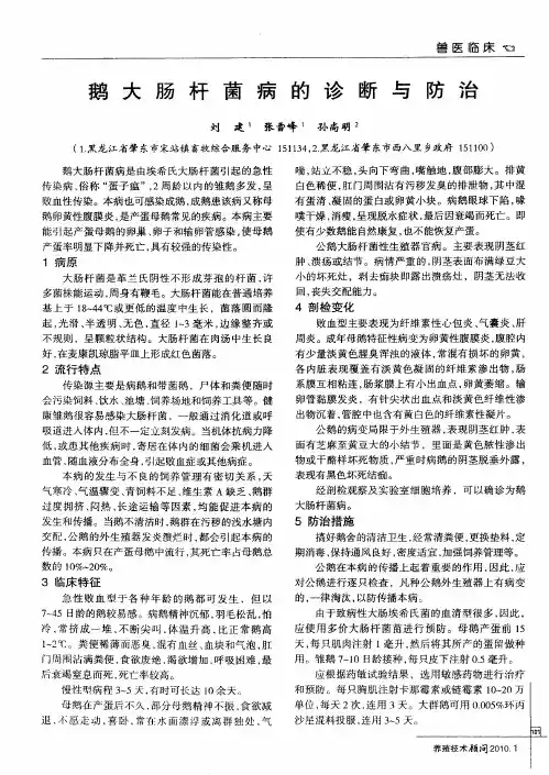 鹅大肠杆菌病的诊断与防治
