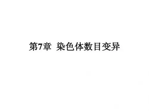 第六章 基因突变与染色体变异3