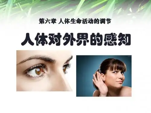 人体对外界环境的感知 PPT课件45 人教版