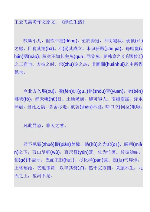 王云飞高考作文原文