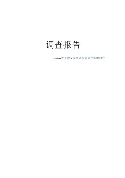 调研报告武汉大学