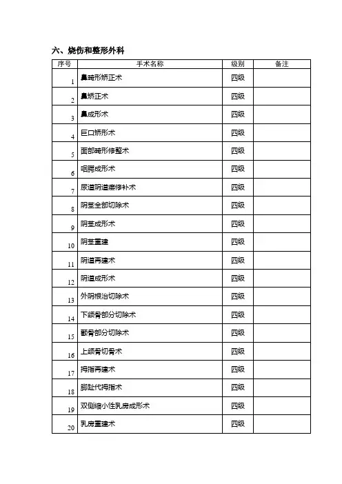 烧伤整形外科手术分级