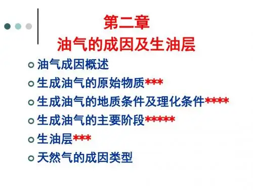 第2章油气生成