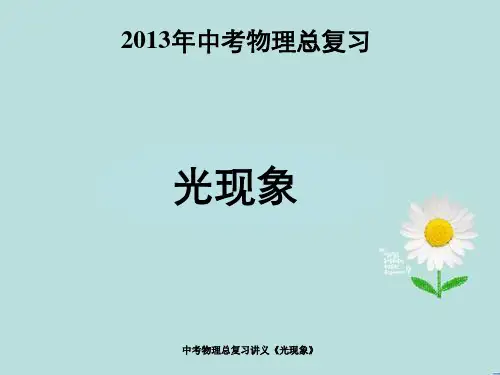 中考物理总复习讲义《光现象》