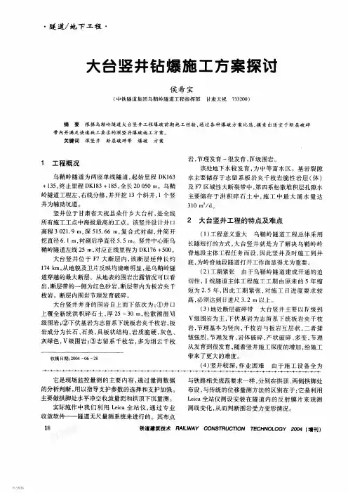 大台竖井钻爆施工方案探讨