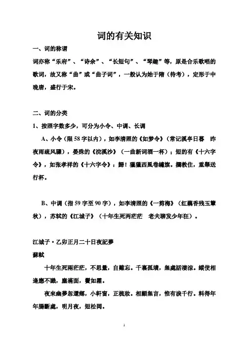 词的有关知识
