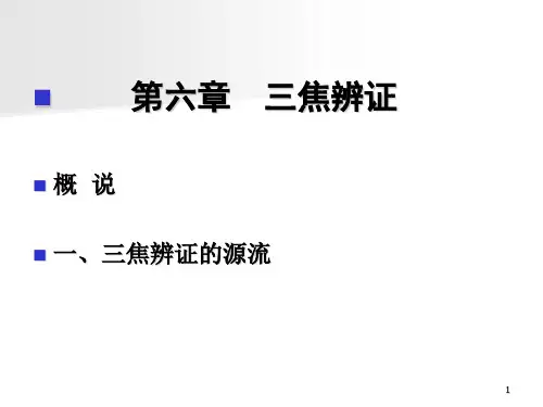 中医基础理论+四诊:三焦辨证