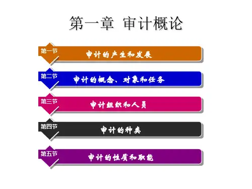 教学课件:《审计基础知识》