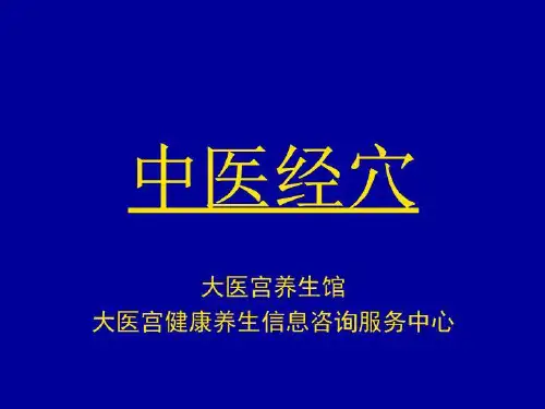 中医经穴-手阳明大肠经-陈炳乐
