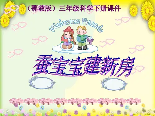 (鄂教版)版小学科学三下《蚕宝宝建新房》PPT课件(同课异构)(2)