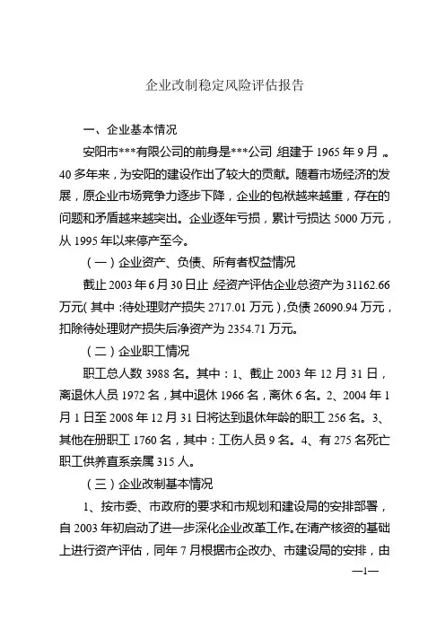 风险评估报告模板 2