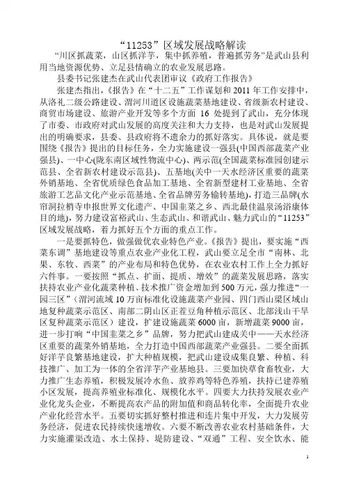 “11253”区域发展战略解读