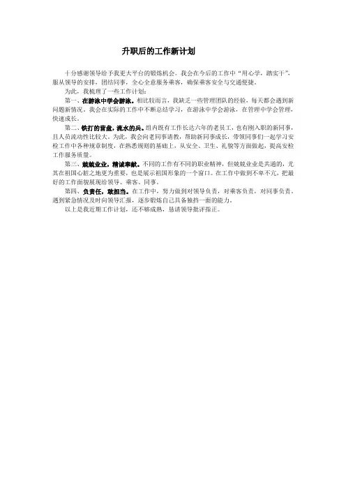 升职后的工作新计划报告