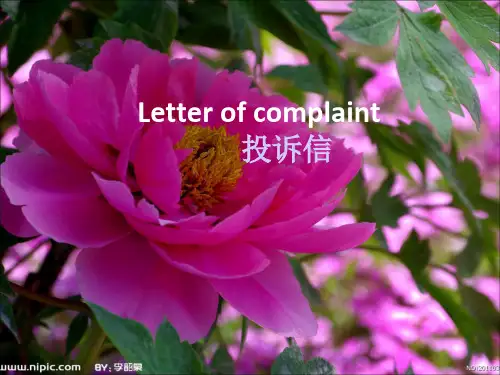 4[1].1投诉信(letter of complaint)