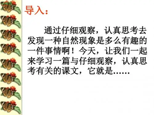 苏教版小学语文二年级上册《有趣的发现》PPT课件