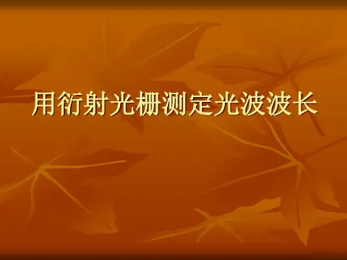 用衍射光栅测定光波波长(精)