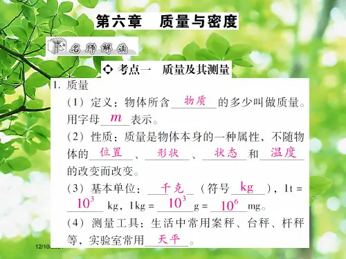 中考物理复习 第六章 质量与密度物理课件