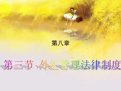 涉外经济法外汇管理制度