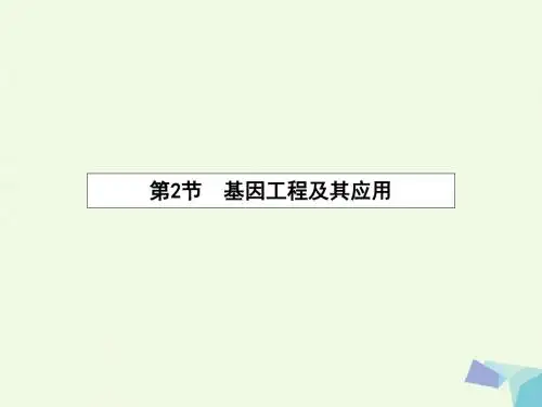 2016_2017学年高中生物6.2基因工程及其应用课件新人教版