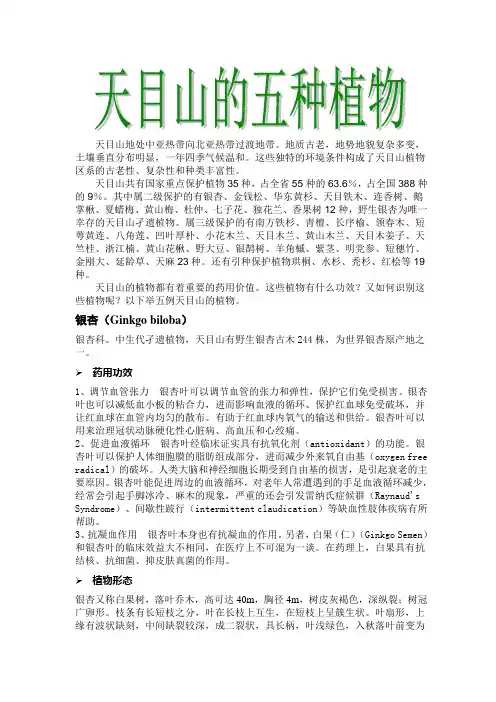 天目山的植物