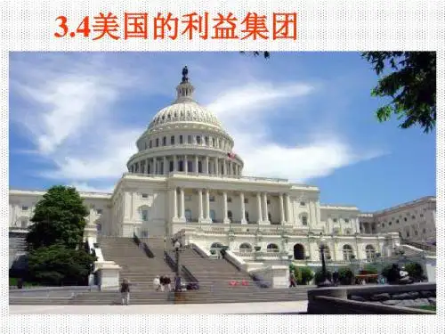 34美国的利益集团.