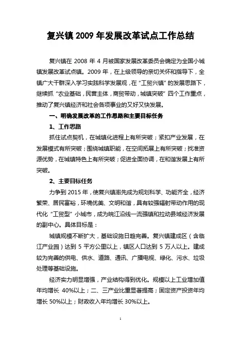 复兴镇2009年发展改革试点工作总结