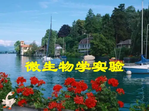 微生物显微观察样品的制备和观察