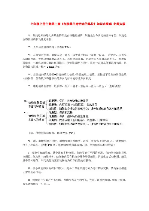 七年级上册生物第三章
