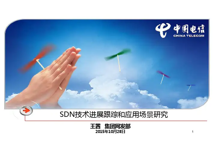 SDN技术进展及应用场景研究
