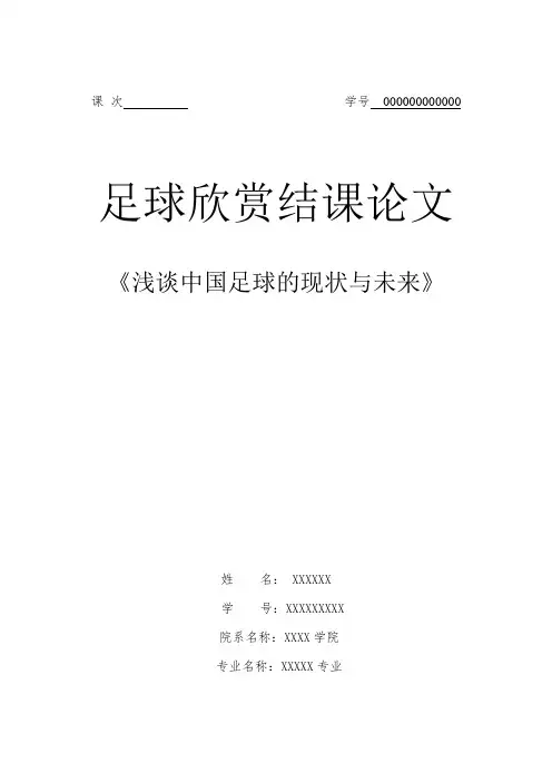 浅谈中国足球的现状与未来