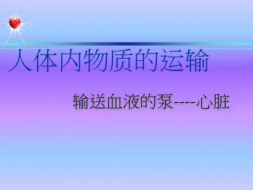 【初中生物】输送血液的泵——心脏PPT课件19