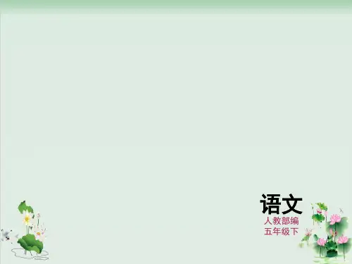 人物描写一组课件完美版1