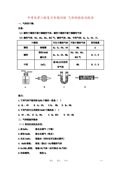 中考化学二轮复习专题训练 气体的检验与除杂