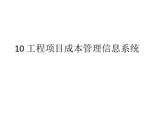 10 工程项目成本管理信息系统