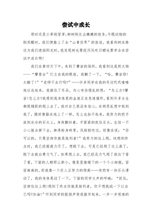 以《尝试中成长》为题的高中作文600字5篇