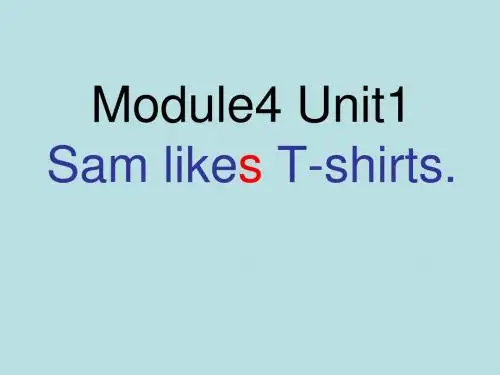 外研版小学二年级英语上册Module 4《Unit 1 Sam like T-shirts》公开课课件