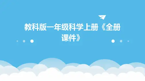 2024教科版一年级科学上册《全册课件》